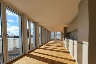Attika-Wohnung und Büroräume zu vermieten